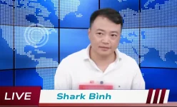 shark-binh-noi-gi-trong-phien-livetream-dinh-menh-truoc-khi-bi-bat (1).webp