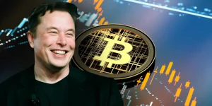 elon-musk-va-bitcoin.webp